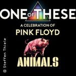 One Of These - A Celebration of Pink Floyd: Animals-Tour